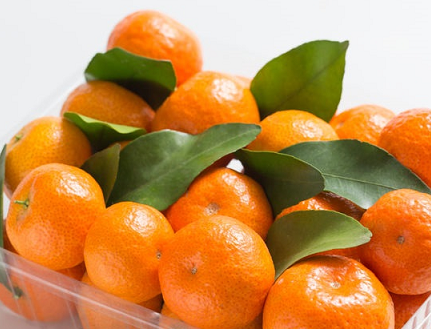 Satsuma Lovers Deluxe - Holiday Gift Box